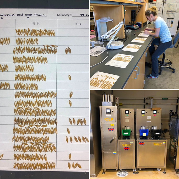 Malt Quality Lab Barley Breeding Program Montana State University 4825